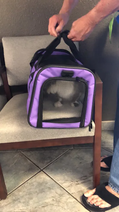 Saugus Animal Hospital 10