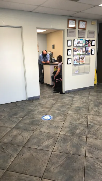 Saugus Animal Hospital 9
