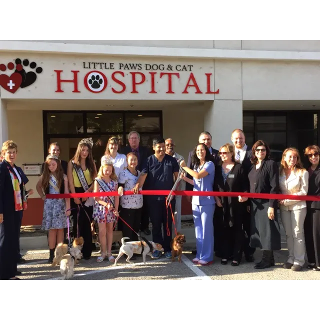 Little Paws Dog & Cat Hospital 3