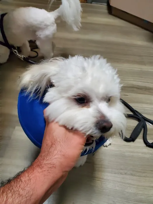 Grand Canyon Veterinary Hospital 4