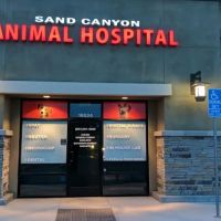 Sand Canyon Animal Hospital ico