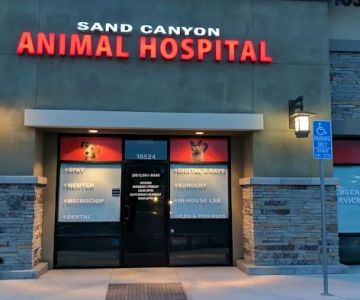 Sand Canyon Animal Hospital