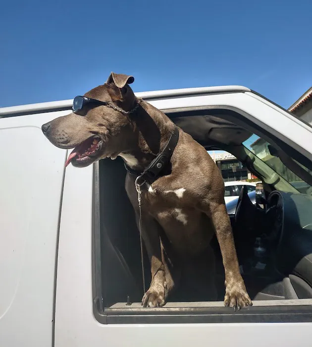 Sand Canyon Animal Hospital 2