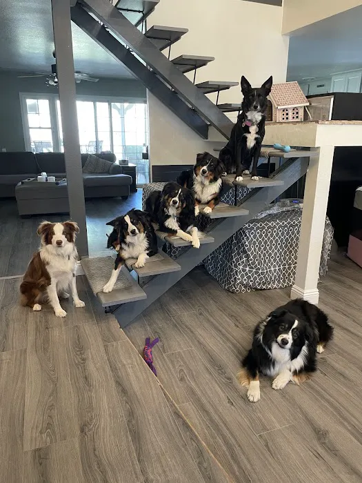 Sand Canyon Animal Hospital 3