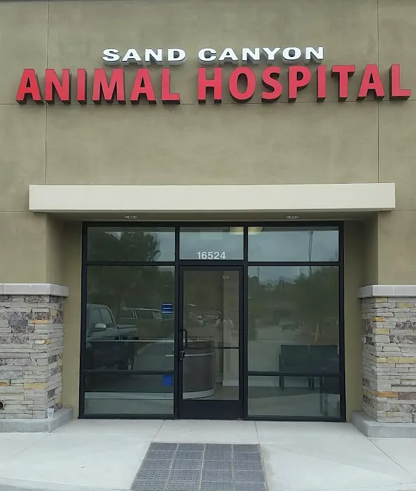 Sand Canyon Animal Hospital 7