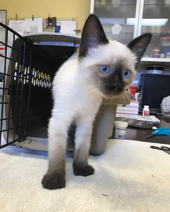 Happy Pets Veterinary Center 6