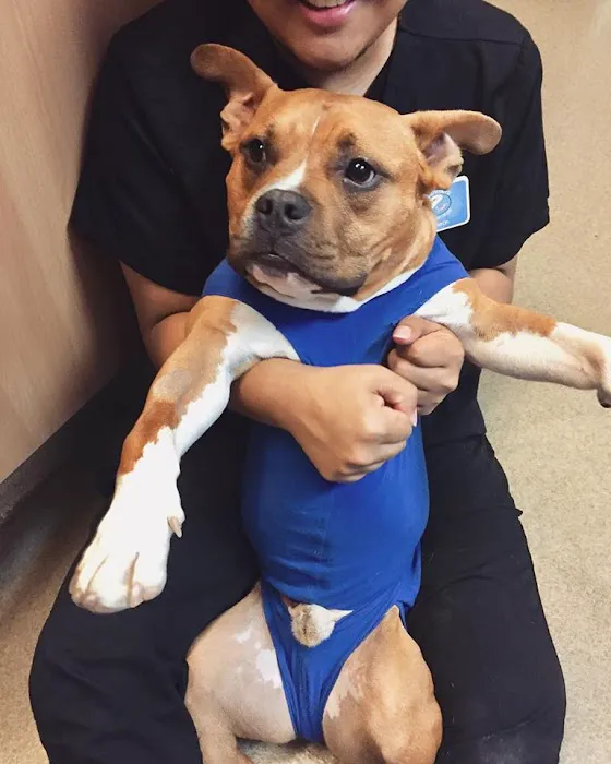 Happy Pets Veterinary Center 7