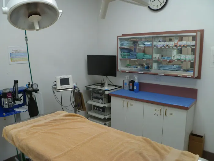 All Pets Medical Centre 8