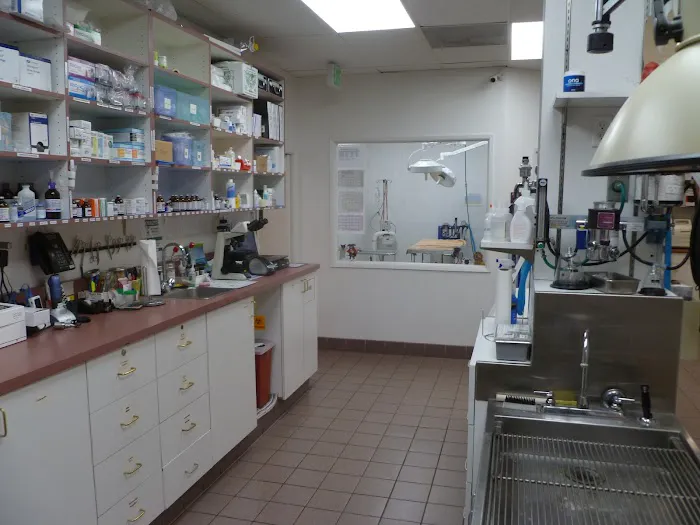 All Pets Medical Centre 9