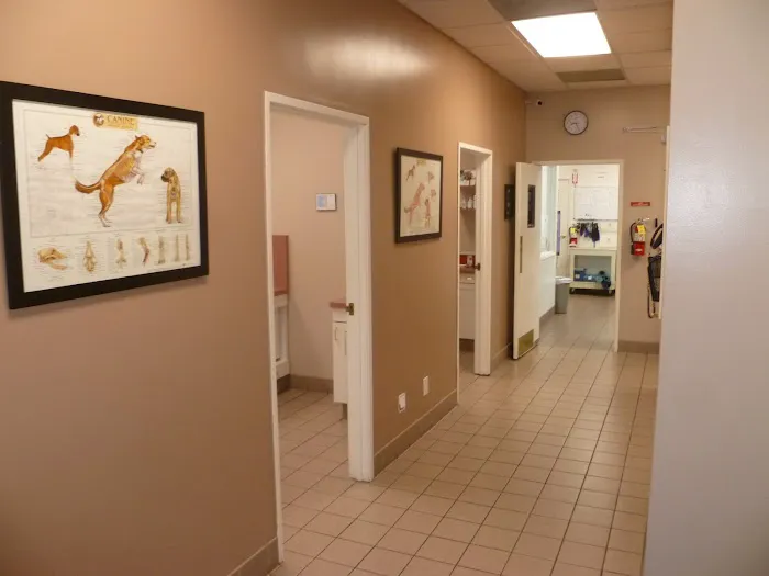 All Pets Medical Centre 10