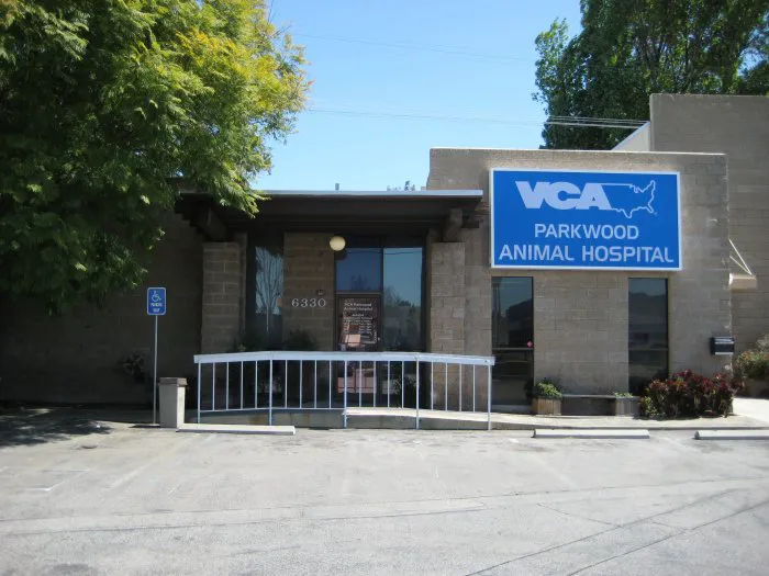 VCA Parkwood Animal Hospital 3
