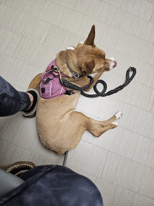 VCA Parkwood Animal Hospital 8