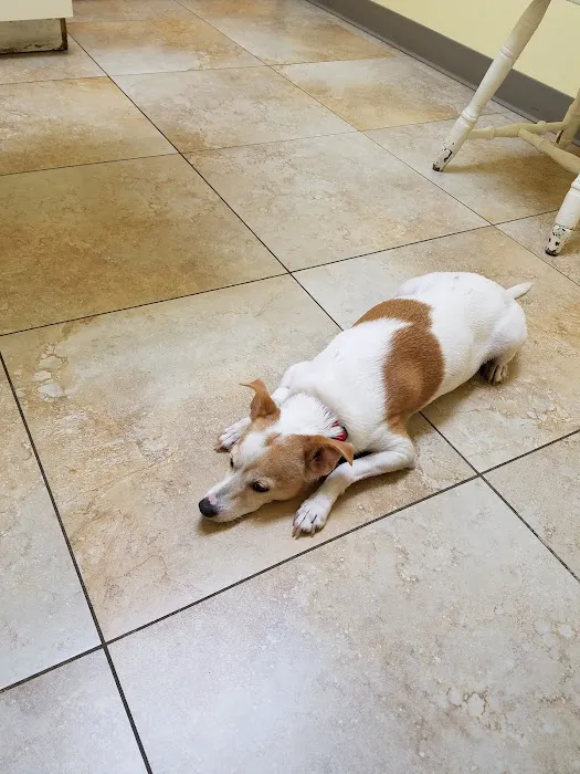 Fallbrook Veterinary Clinic 3