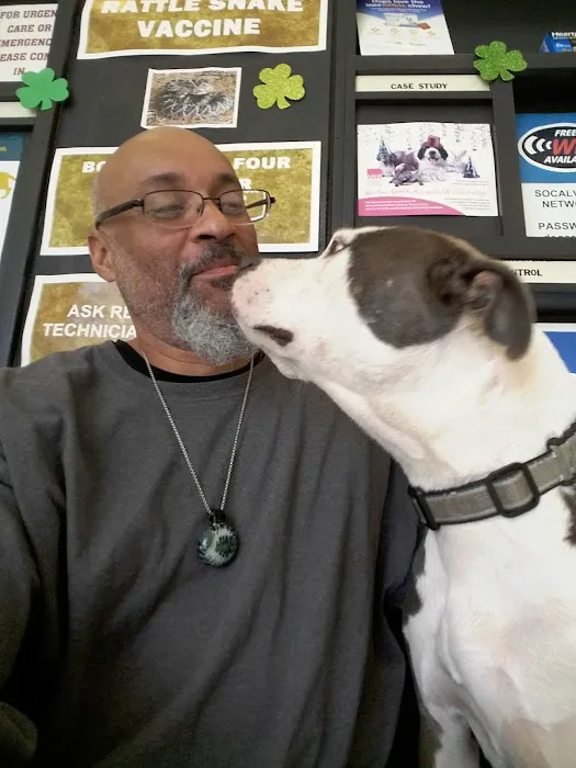 Southern California Veterinary Hospital & Animal Skin Clinic 10
