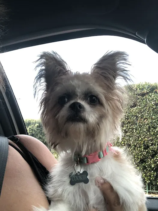 West Hills Animal Hospital 1