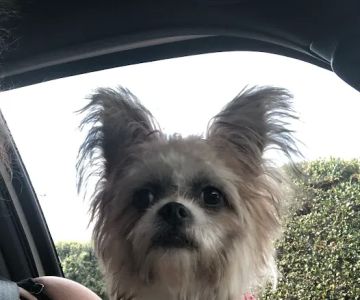 West Hills Animal Hospital