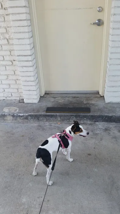 West Hills Animal Hospital 7