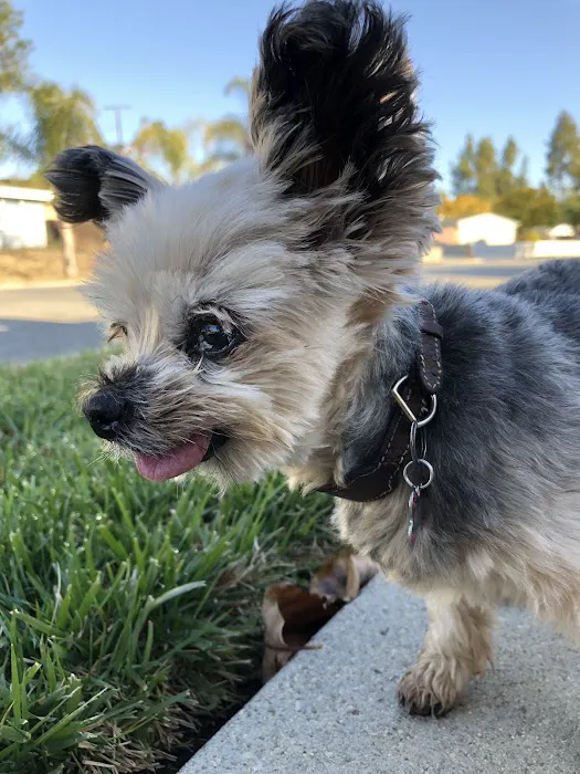 West Hills Animal Hospital 2