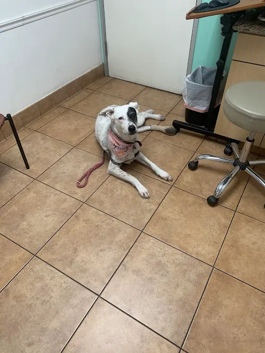 West Hills Animal Hospital 3