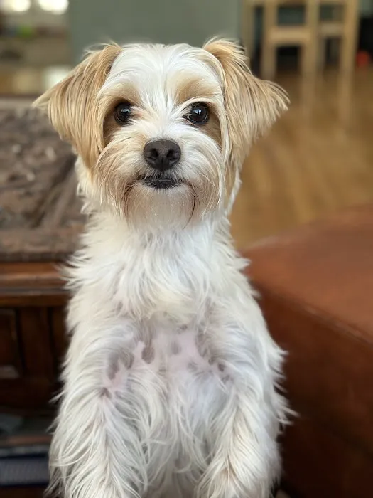 West Hills Animal Hospital 9