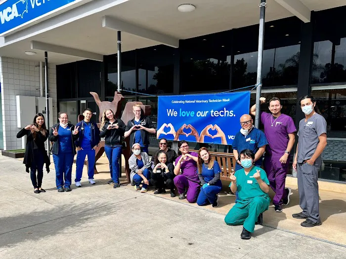 VCA Veterinary Specialists of the Valley 5