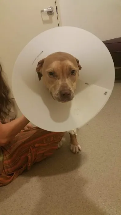VCA Veterinary Specialists of the Valley 10