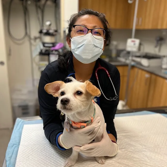 VCA Veterinary Specialists of the Valley 7