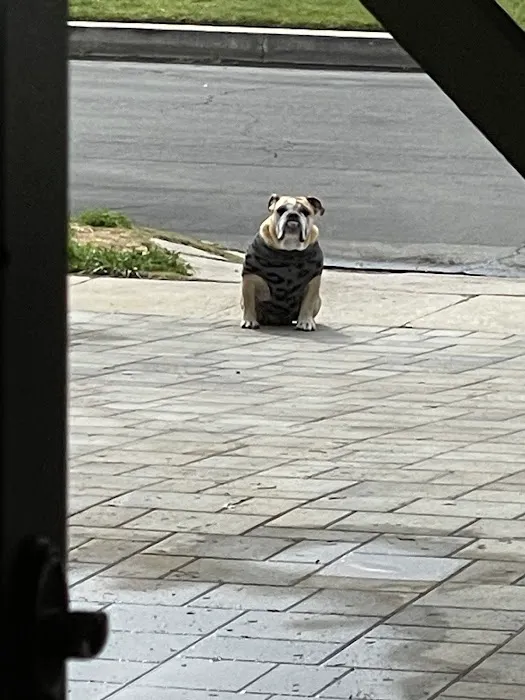 Veterinary Medical Center of Woodland Hills 5