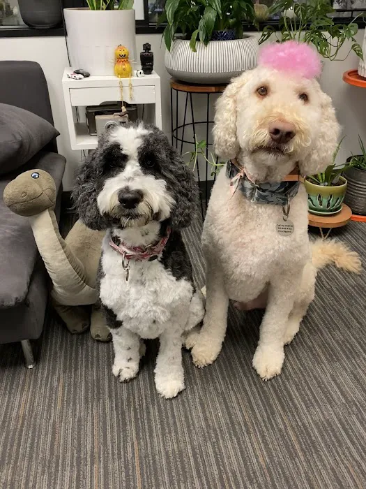 Veterinary Medical Center of Woodland Hills 8