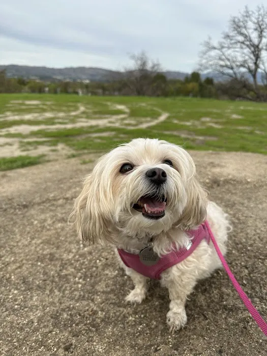 Veterinary Medical Center of Woodland Hills 10