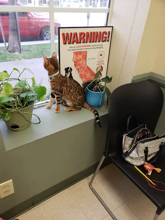 Veterinary Medical Center of Woodland Hills 6