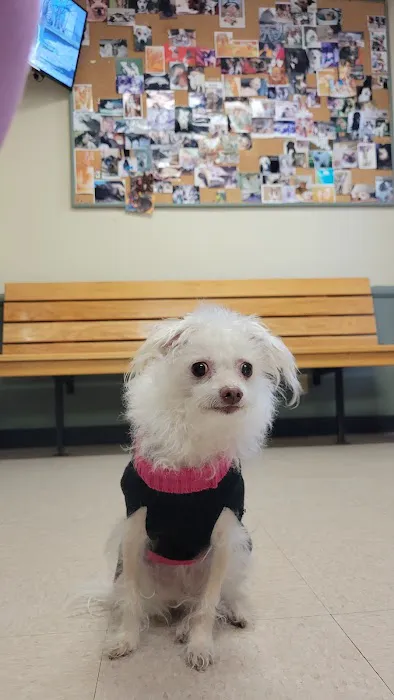 Veterinary Medical Center of Woodland Hills 1