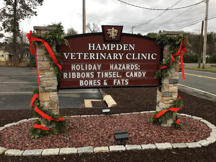 Hampden Veterinary Clinic 10