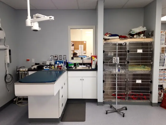 Hampden Veterinary Clinic 6