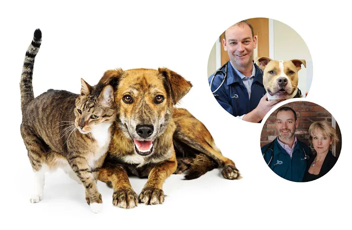 Wilbraham Animal Hospital 4