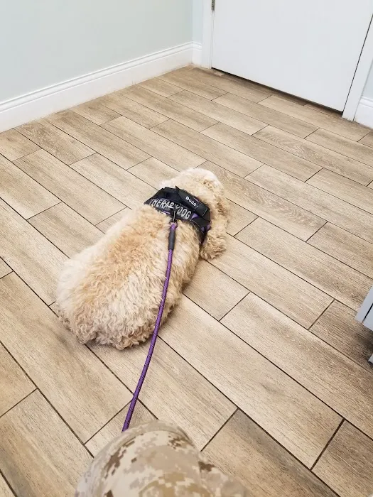 Wilbraham Animal Hospital 3