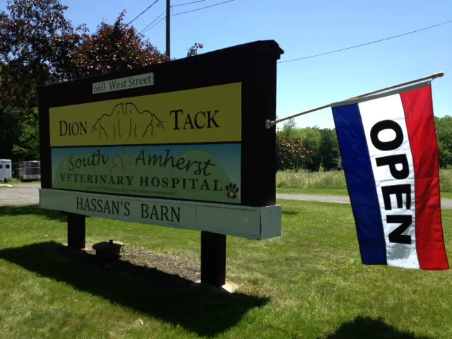 South Amherst Veterinary Hospital 8
