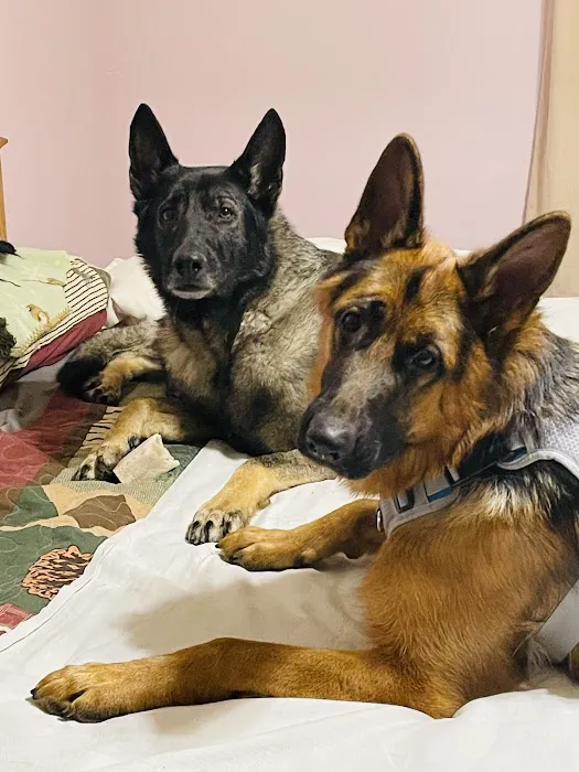Family Veterinary Center 2