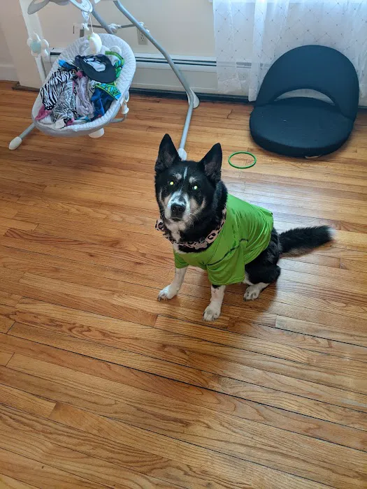 Williamsburg Animal Clinic 3