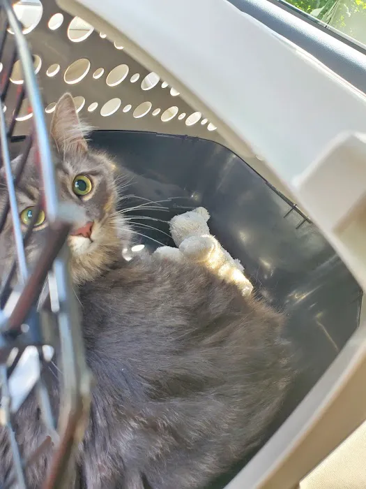 Williamsburg Animal Clinic 1