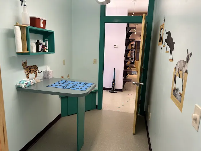 Williamsburg Animal Clinic 9