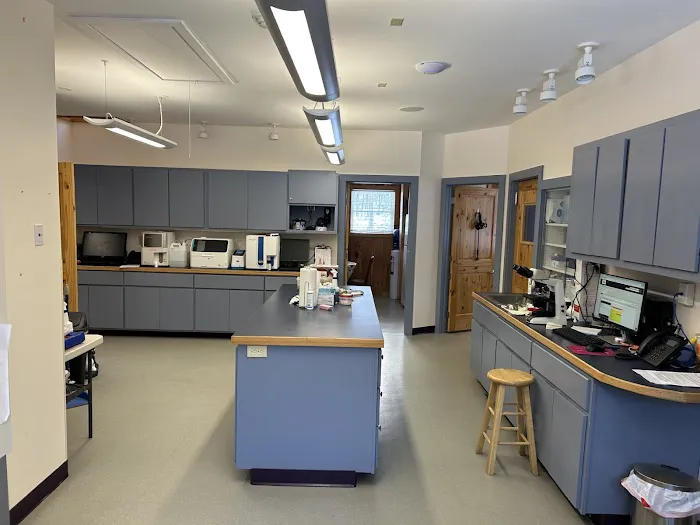 Williamsburg Animal Clinic 7