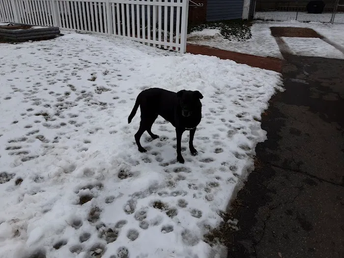 Belchertown Veterinary Hospital 4