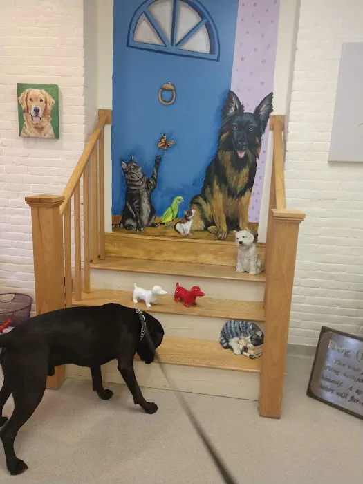 Belchertown Veterinary Hospital 2