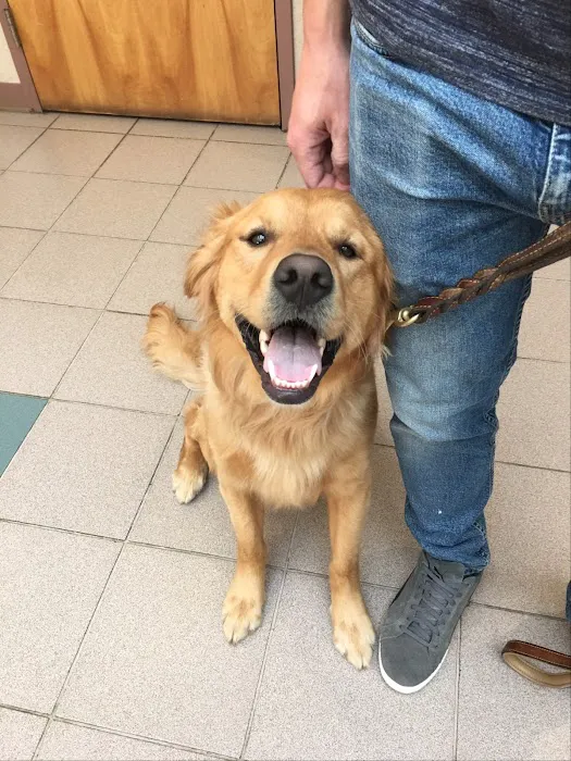 Valley Veterinary Hospital 1