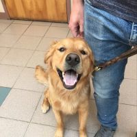 Valley Veterinary Hospital ico
