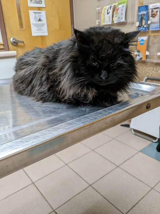 Valley Veterinary Hospital 5