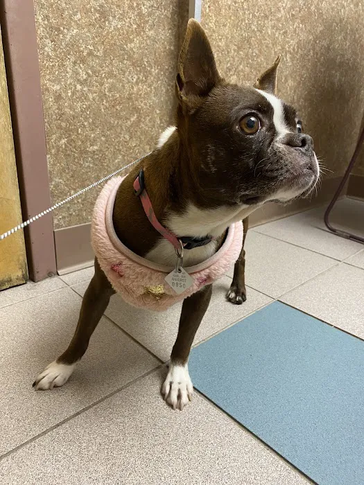 Valley Veterinary Hospital 9
