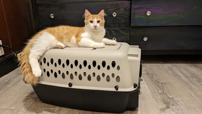 Valley Veterinary Hospital 7