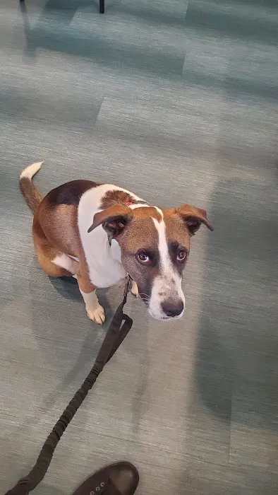 Landau Veterinary Services 7